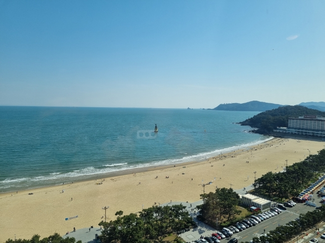 카츠스테이 이미지