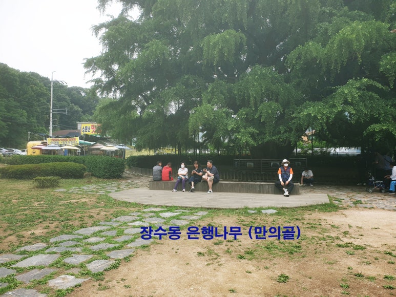 은행나무가든 이미지