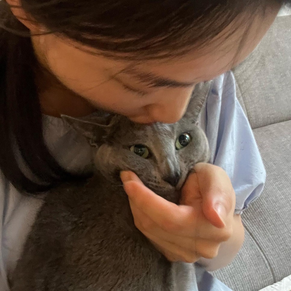 고카인 이미지