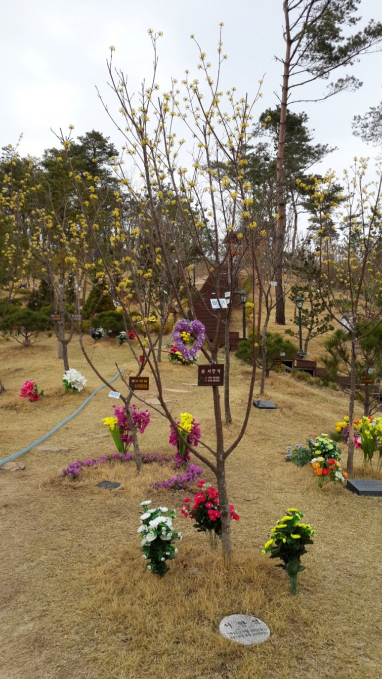 파주수목장 이미지