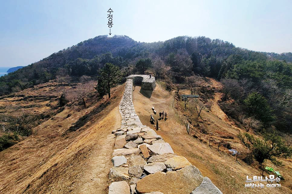 라성맥주 이미지