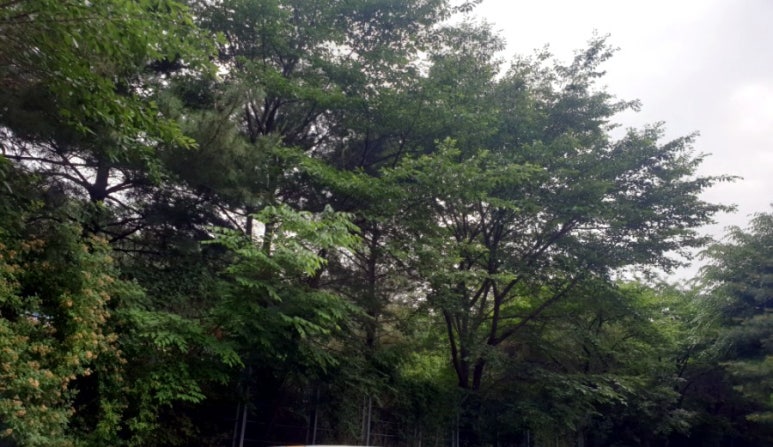 박달주유소 이미지