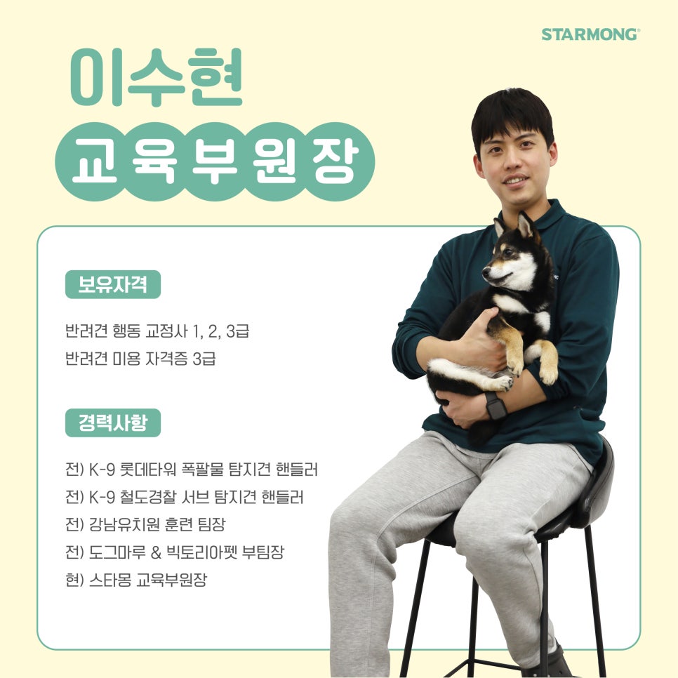 서초 스타몽 강아지 방문훈련, 퇴근 후 교육 가능 — 사진 4