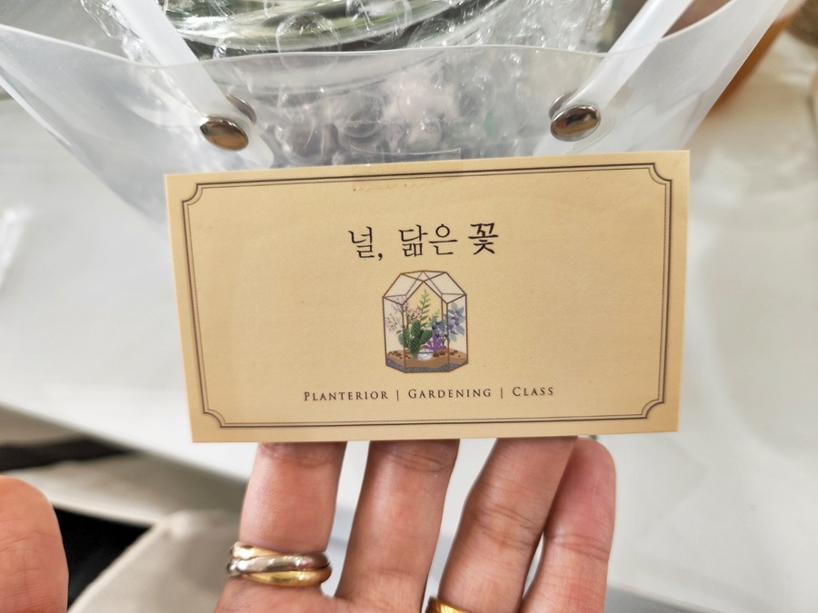 널;닮은꽃 이미지