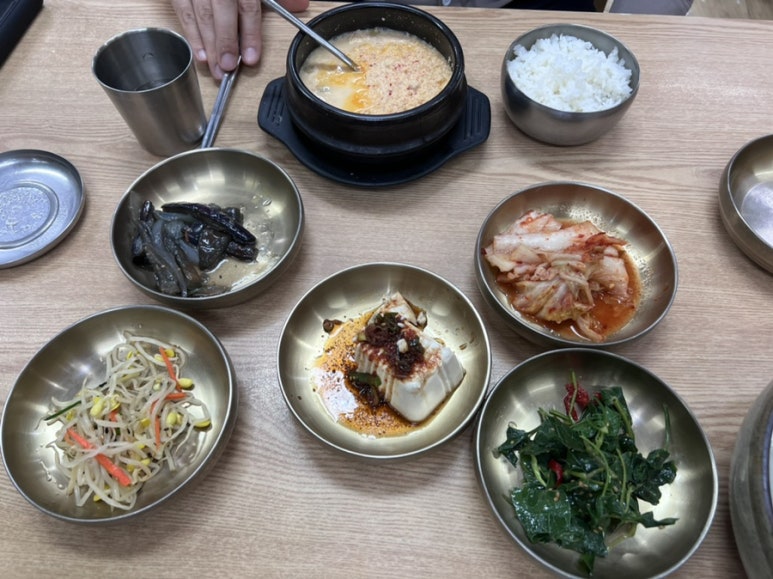 신박사 콩사랑 이미지