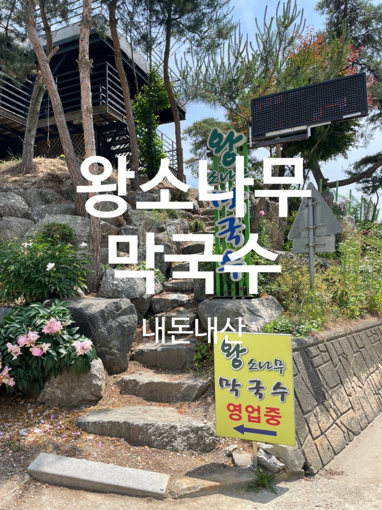 왕소나무막국수 이미지