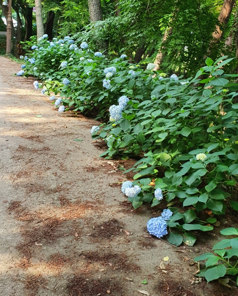 서림공원 유아숲체험원 이미지
