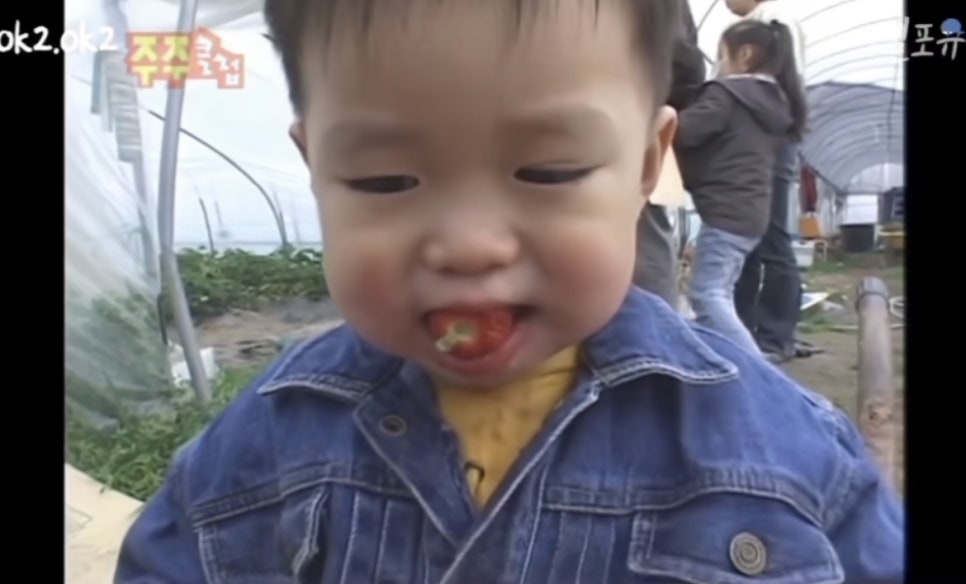 쩨리네 이미지