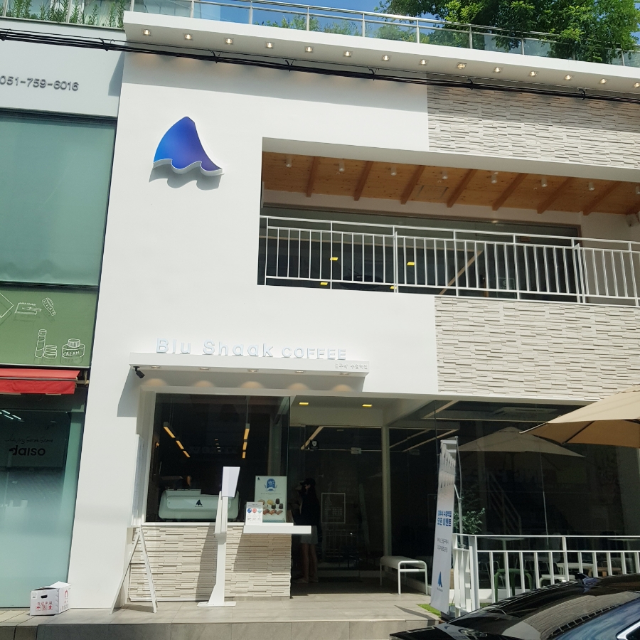 블루샥수영 이미지