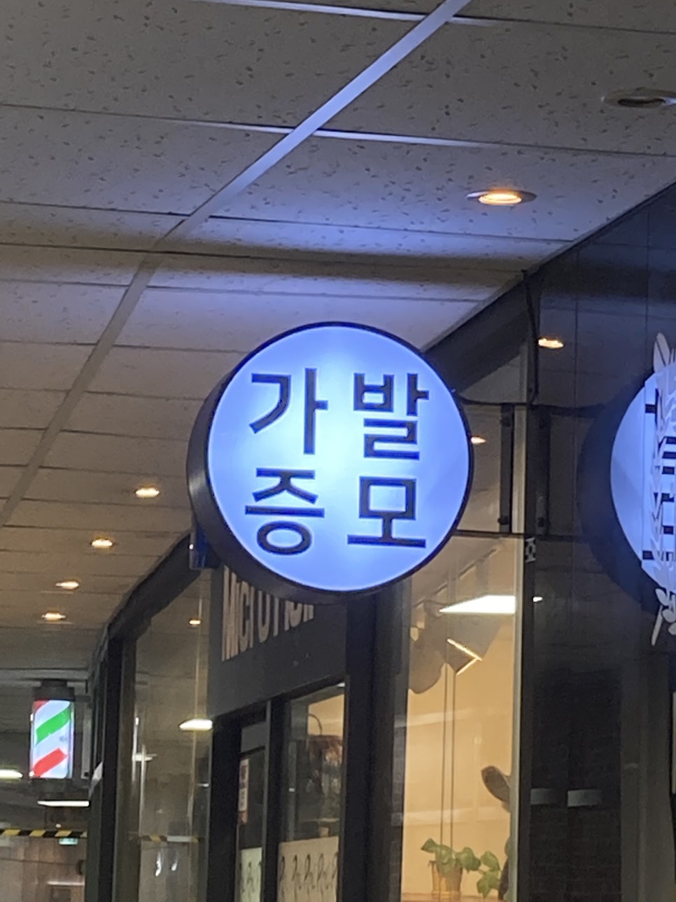 마이크로헤어증모 이미지