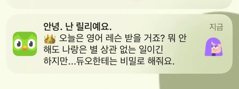 심어스 이미지