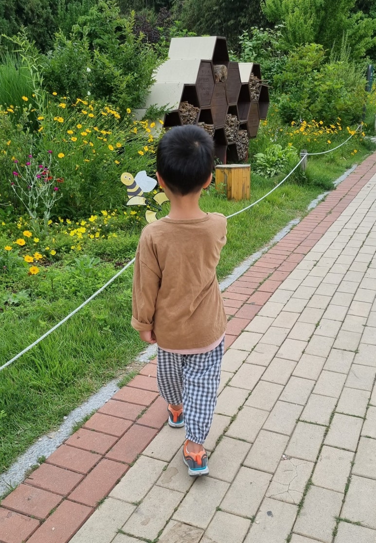 아베끄몽 이미지