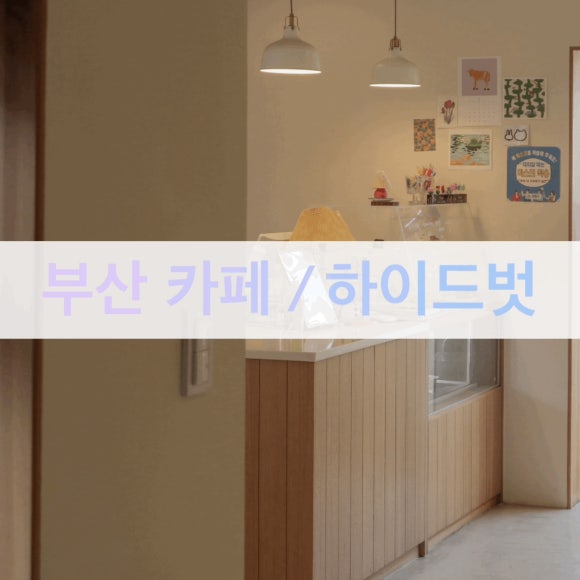 하이드벗(hide but) 이미지