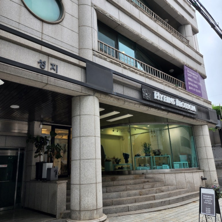 블라썸아카데미 이미지