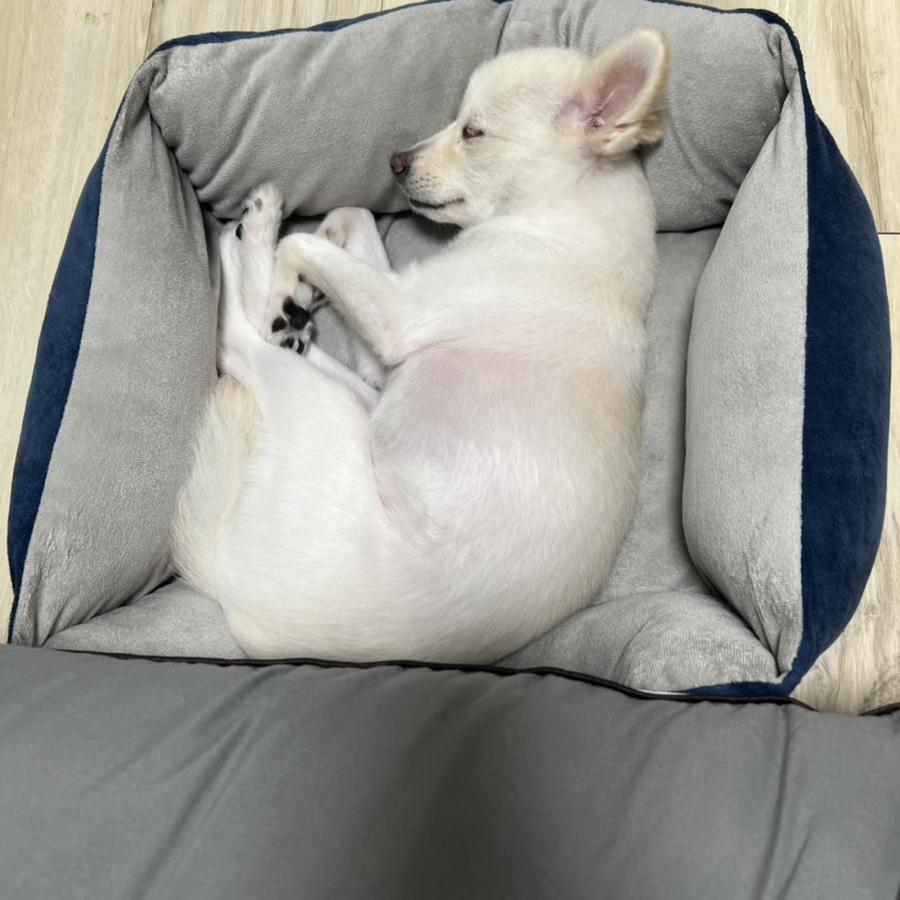 홈플러스익스프레스 봉천점 이미지