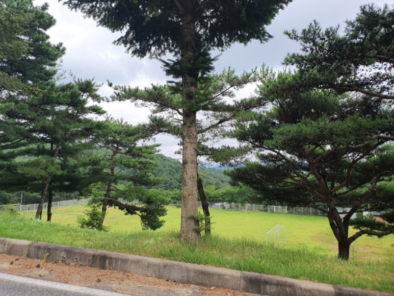청양숭의청소년수련원 이미지