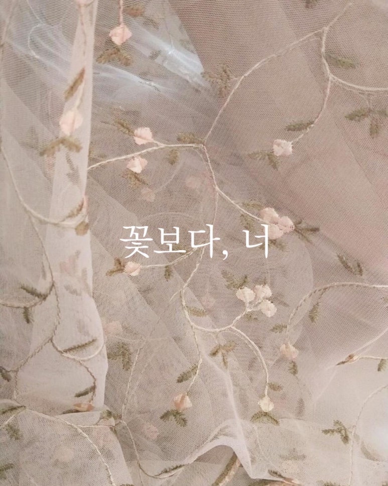 꽃보다 너 이미지