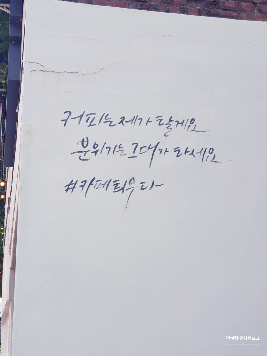 카페틔우다 이미지