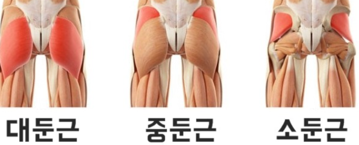 바디킹PT샵 이미지