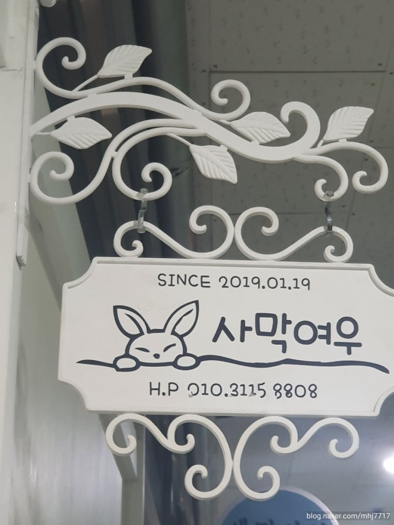 사막여우하바리움 이미지