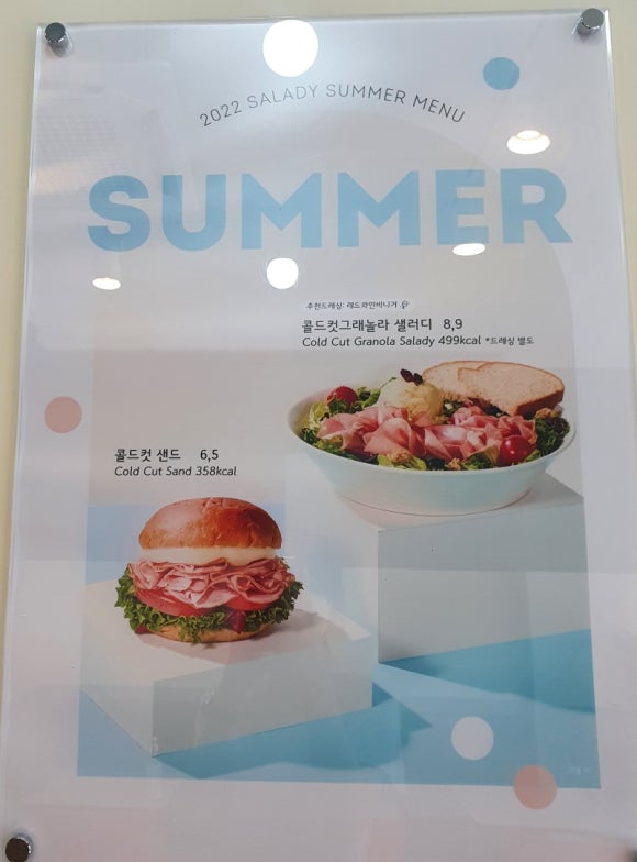 샐러디미아 이미지