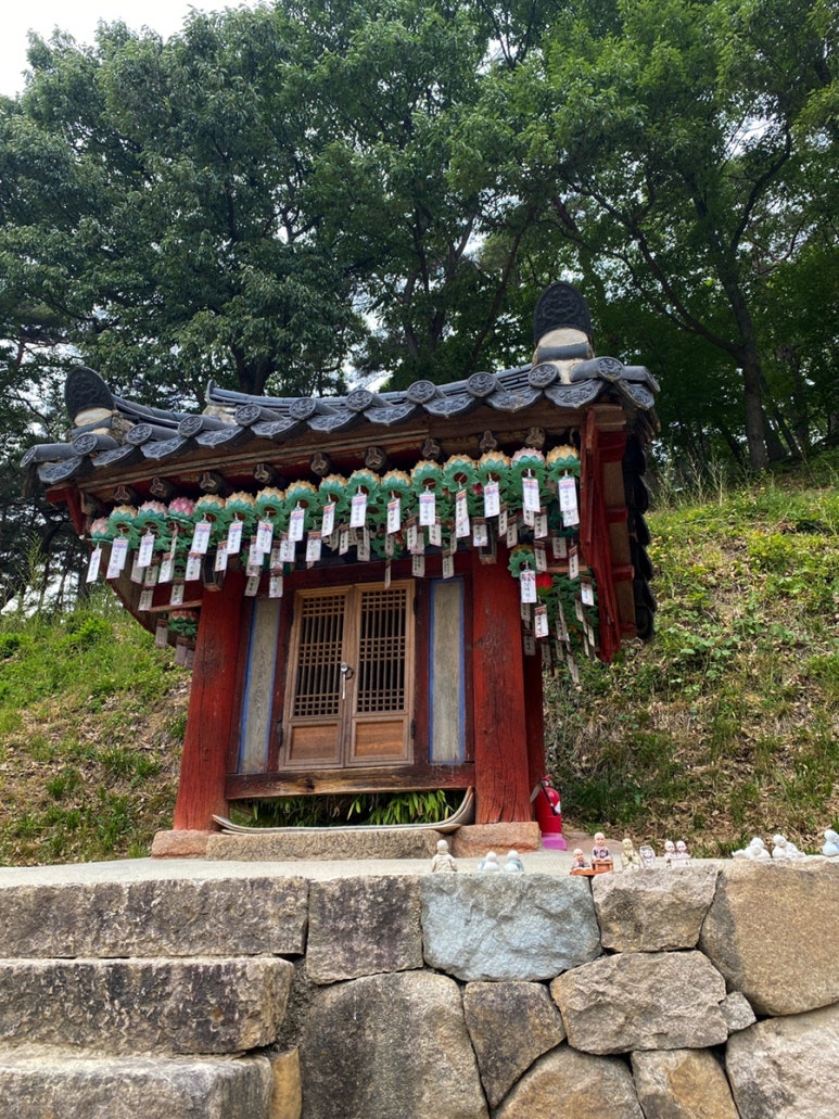 자인백반 이미지
