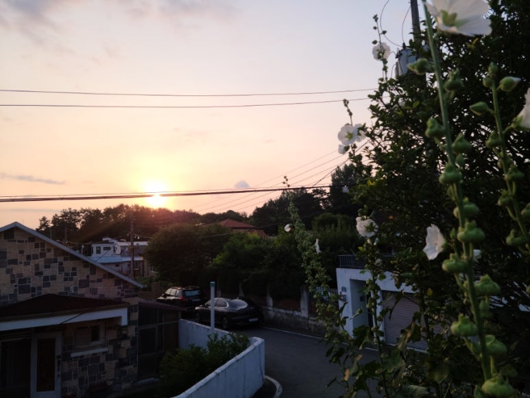 반월전원 이미지