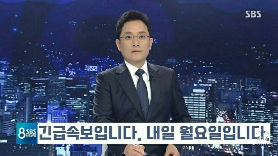 낙지의품격 이미지