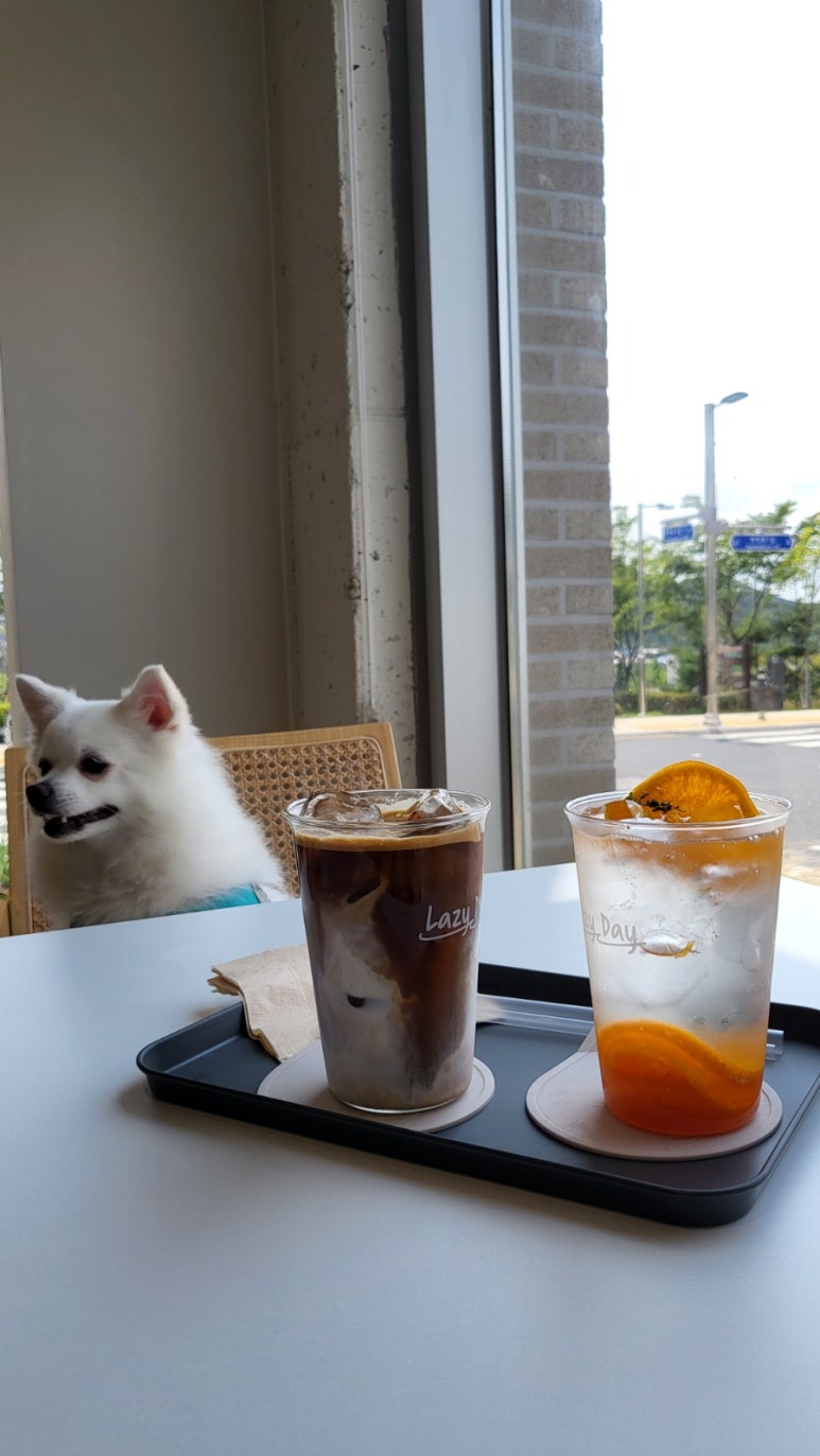 레이지데이(LAZY DAY) 이미지