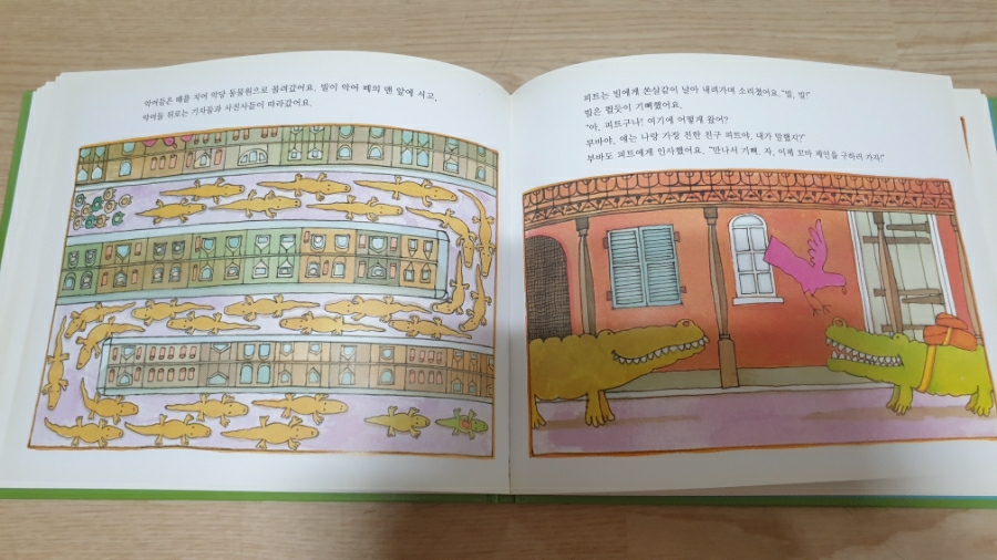 드제인 이미지