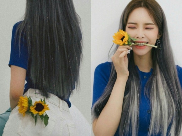 브릿지헤어 이미지