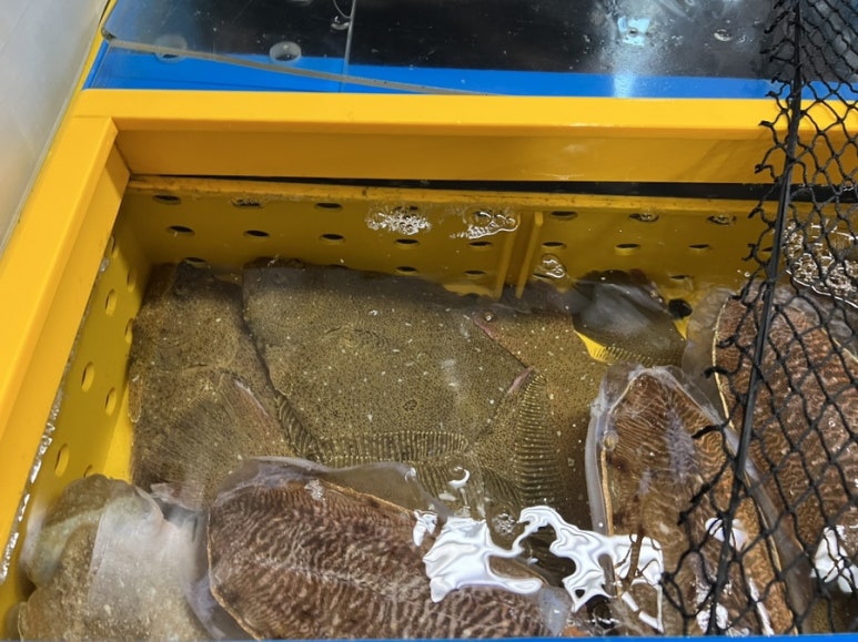 덕화상회 이미지