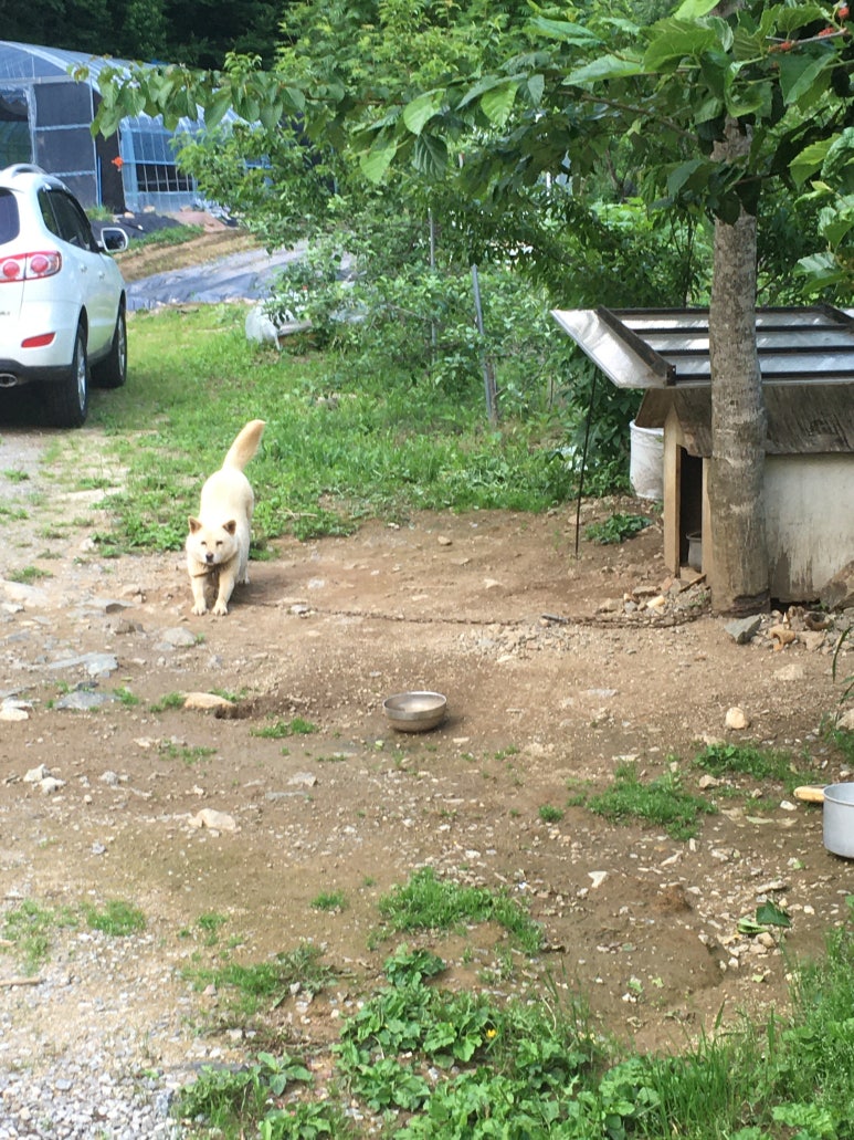 곰배누리펜션 이미지