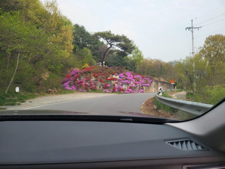 성거농업협동조합하나로마트 이미지