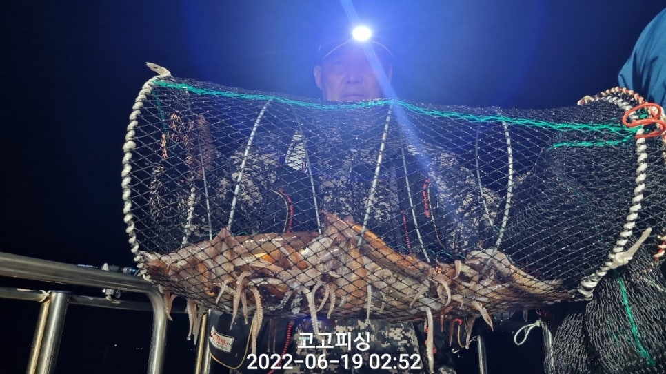 들어뽕피싱 이미지