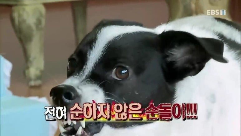 책가도원 이미지