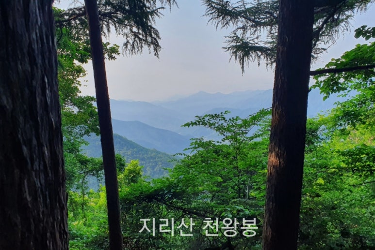 천왕봉가든 이미지