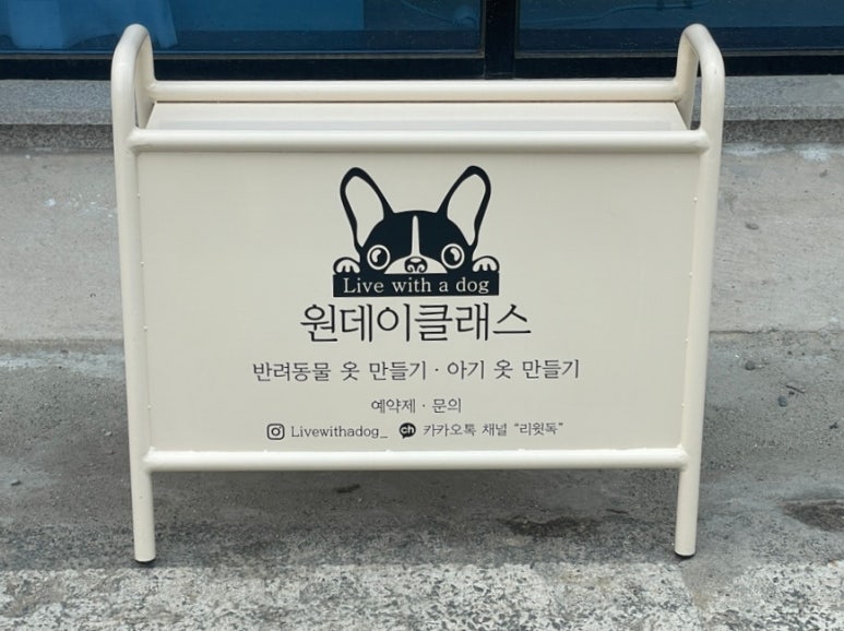 리윗독 이미지