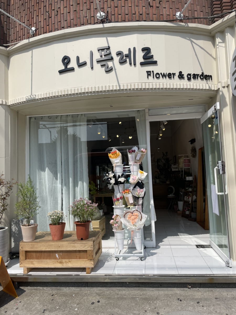 오니플레르 이미지