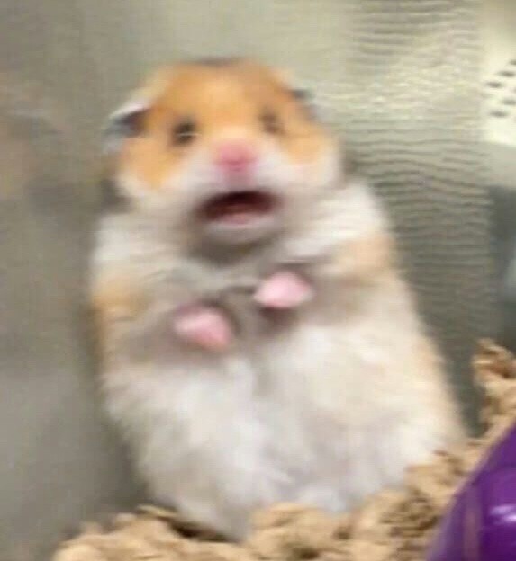 동백집 이미지