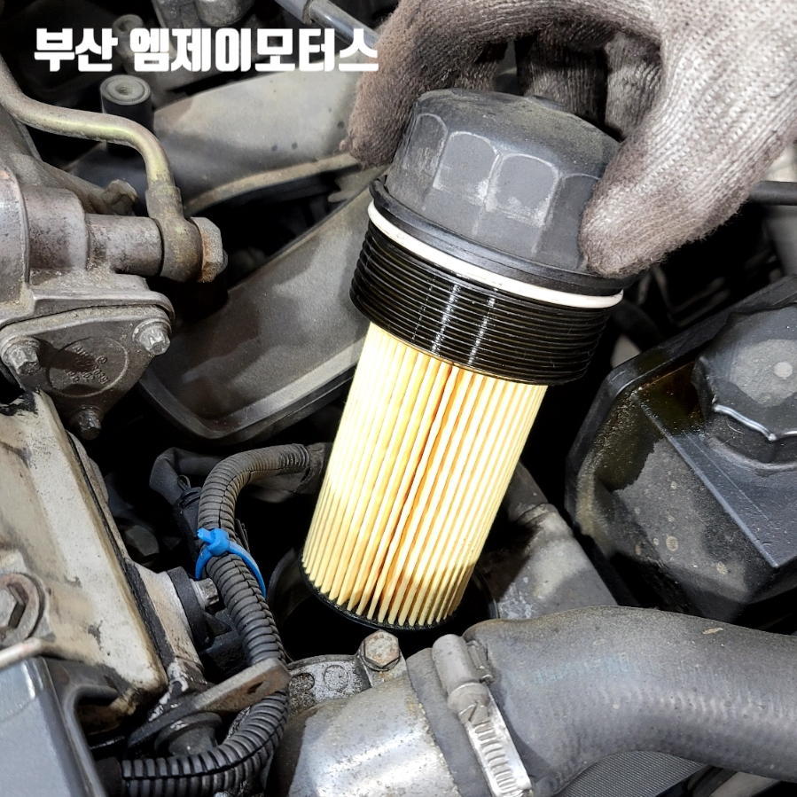 준전기 이미지