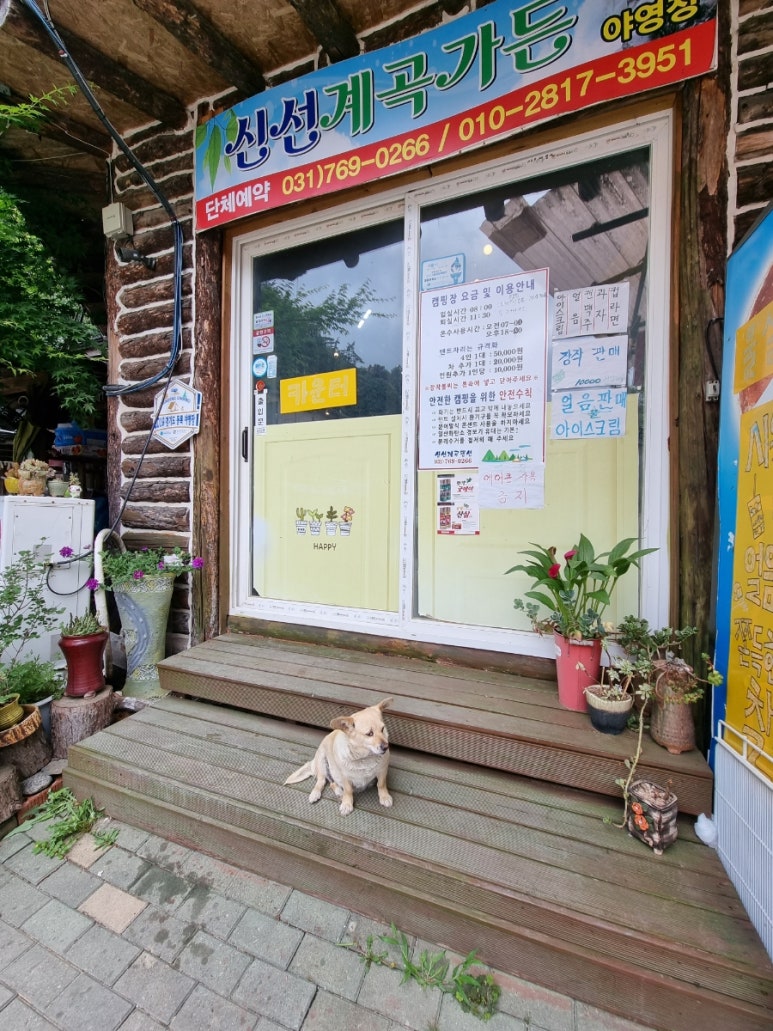 신선계곡야영장 이미지