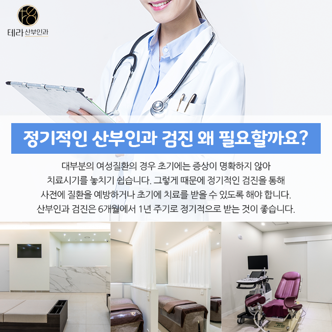 테라화성 이미지
