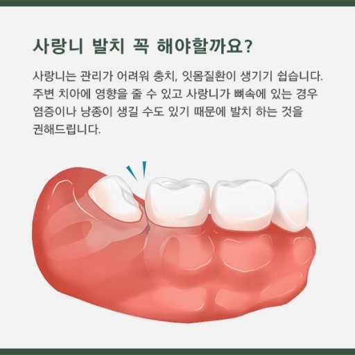 마로니에치과 이미지