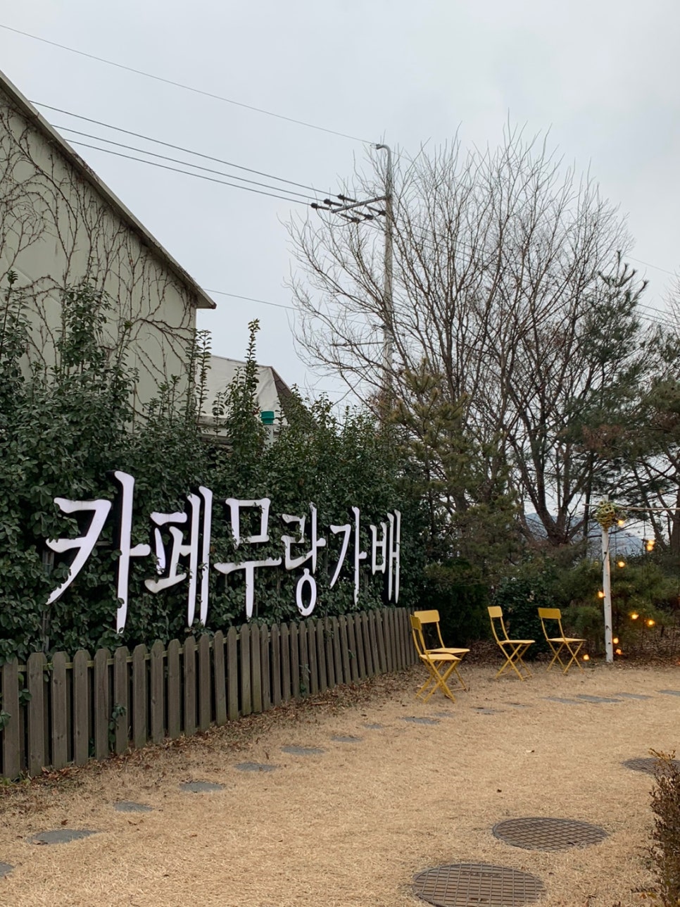 무랑가배 이미지