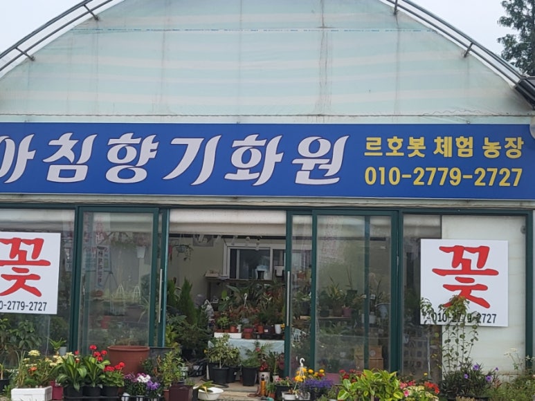 아침향기화원 이미지