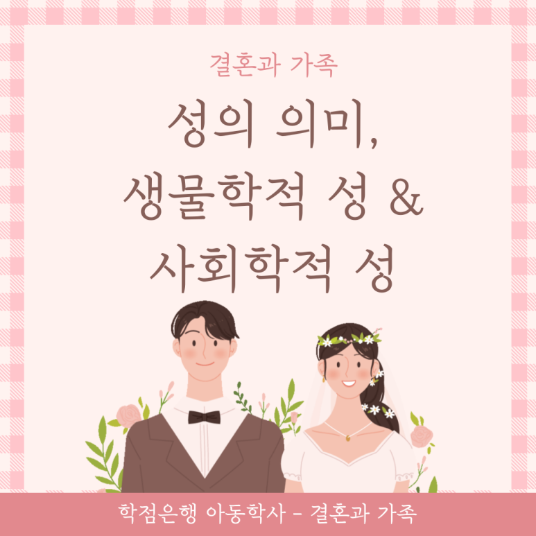 성의 의미와 생물학적/사회학적 성 : 네이버 블로그