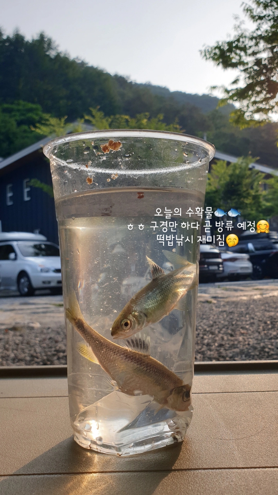 엄둔밸리 캠핑장 이미지