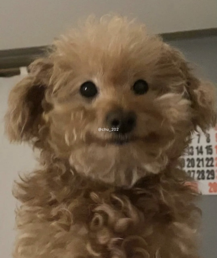 (주)투어플라이 이미지