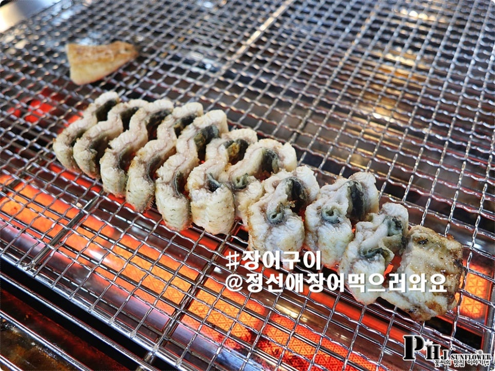 정선애장어먹으러와요 이미지